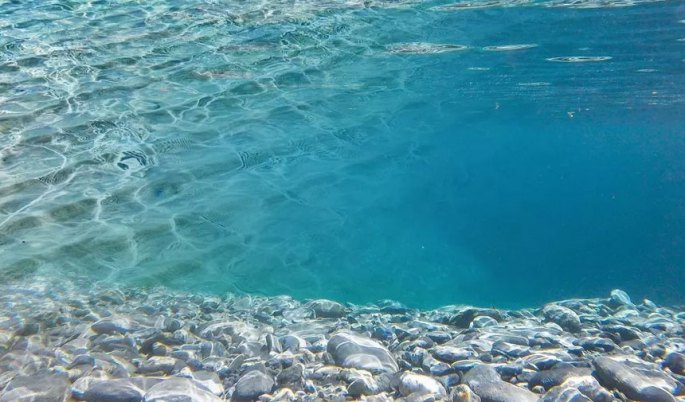 Deniz suyundaki sıcaklık artışı Doğu Akdeniz’de tür değişimini hızlandırıyor