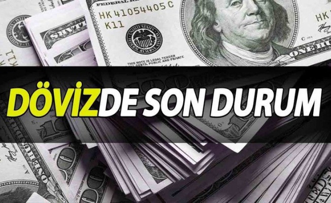 Döviz Kurlarında son durum