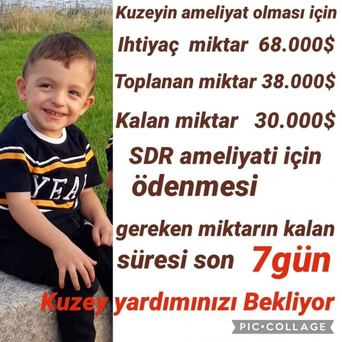 KUZEY İÇİN EL ELE VERELİM